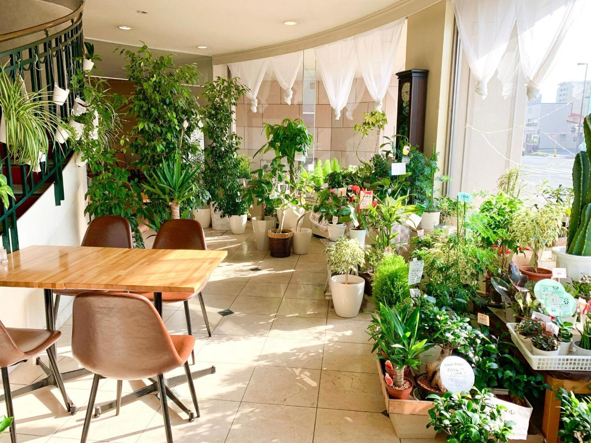 Hotel Royal Kitami - Vacation Stay 04905V エクステリア 写真